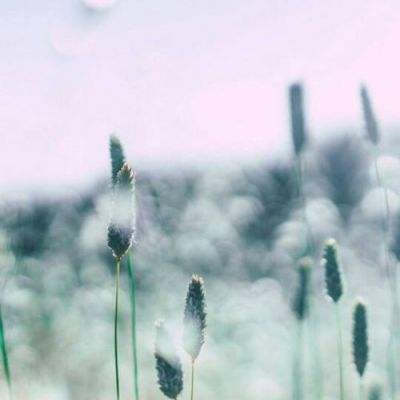 天博tb·体育综合下载手机版